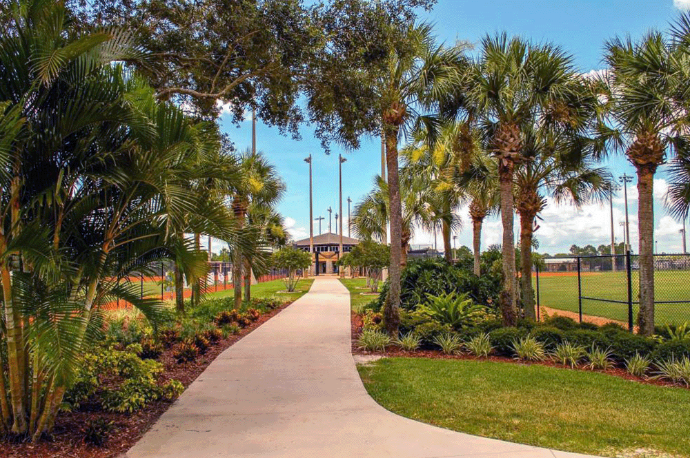 walking trail to central winds park with palm trees and shrubbery